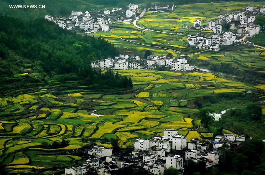 CHINA-TERRACED FIELDS-SCENERY (CN)