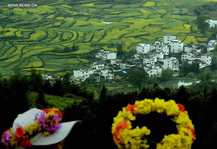CHINA-TERRACED FIELDS-SCENERY (CN)