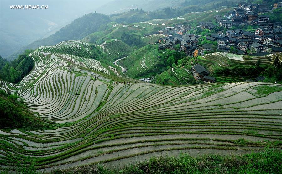 CHINA-TERRACED FIELDS-SCENERY (CN)
