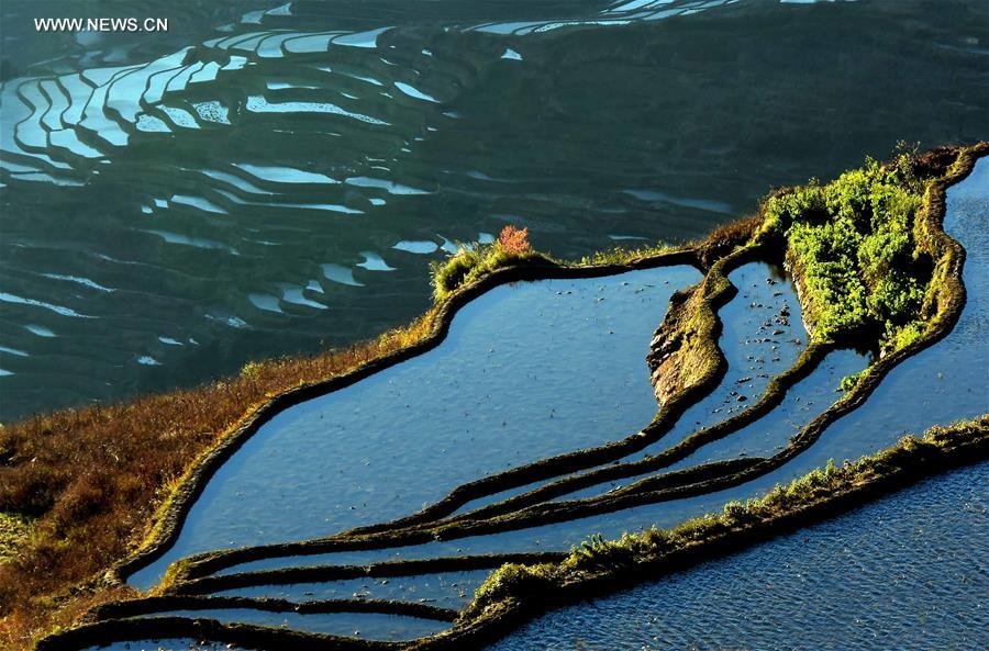 CHINA-TERRACED FIELDS-SCENERY (CN)