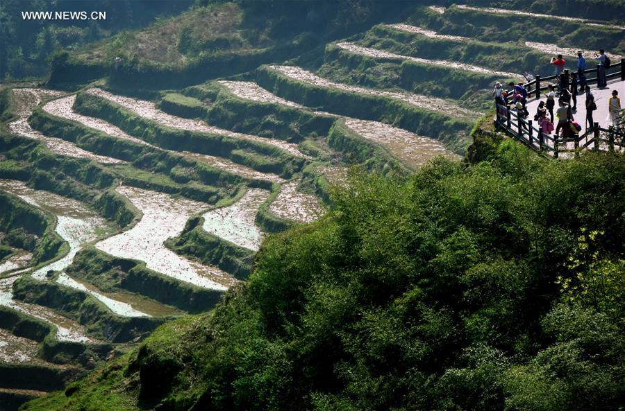 CHINA-TERRACED FIELDS-SCENERY (CN)
