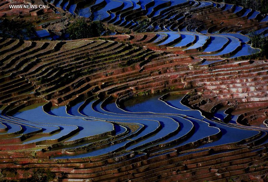 CHINA-TERRACED FIELDS-SCENERY (CN)