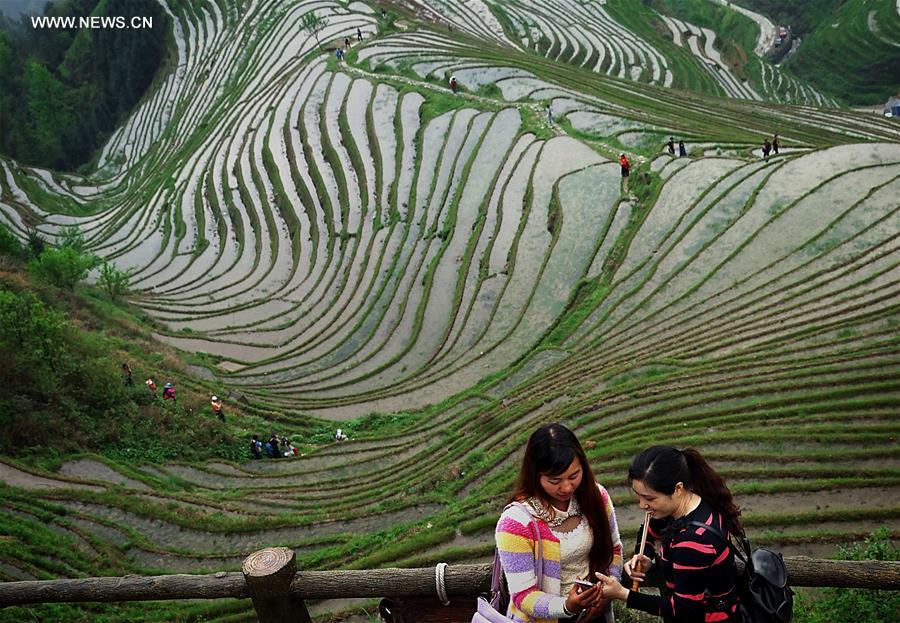 CHINA-TERRACED FIELDS-SCENERY (CN)