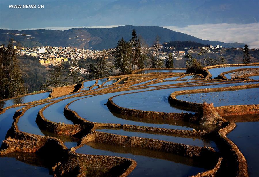 CHINA-TERRACED FIELDS-SCENERY (CN)