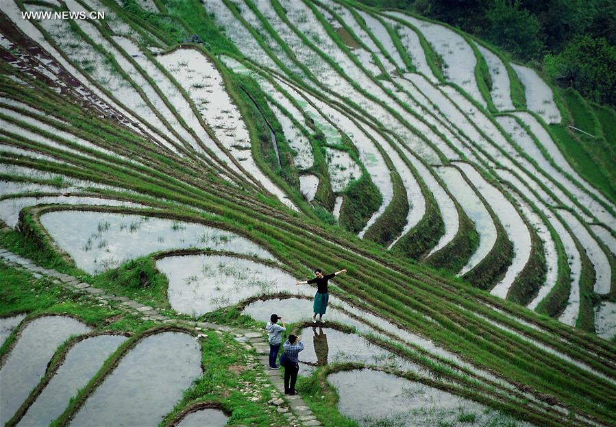 CHINA-TERRACED FIELDS-SCENERY (CN)
