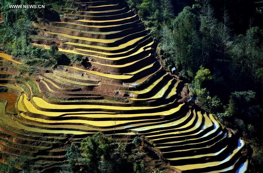 CHINA-TERRACED FIELDS-SCENERY (CN)