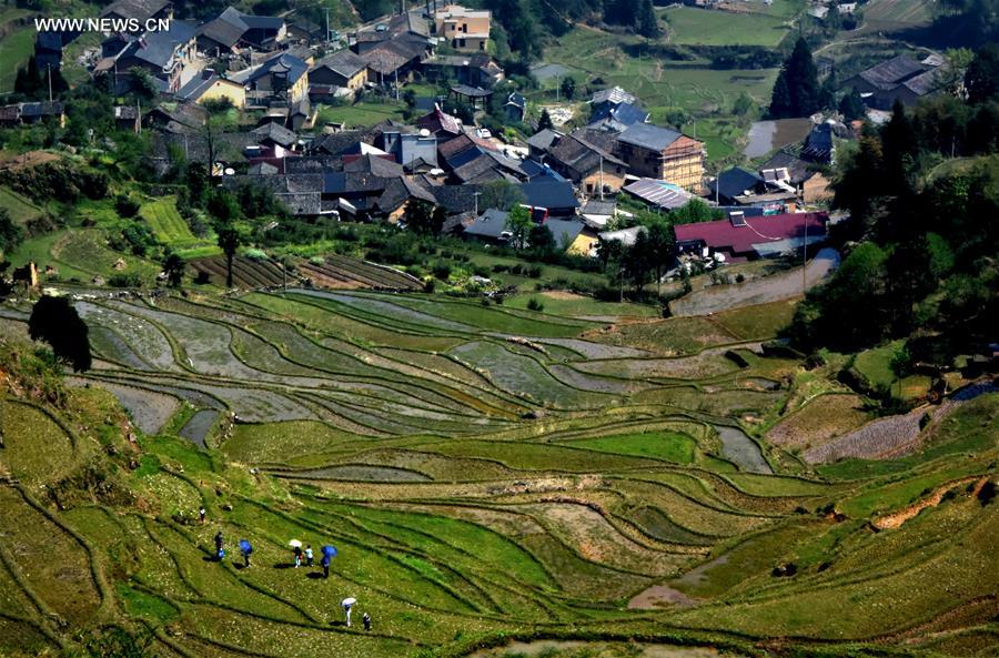 CHINA-TERRACED FIELDS-SCENERY (CN)