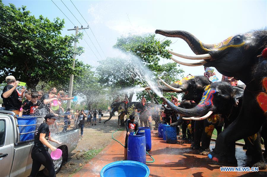 Elephants spray water on tourists during the celebration of the upcoming Songkran festival in Ayutthaya province, Thailand, April 11, 2016.