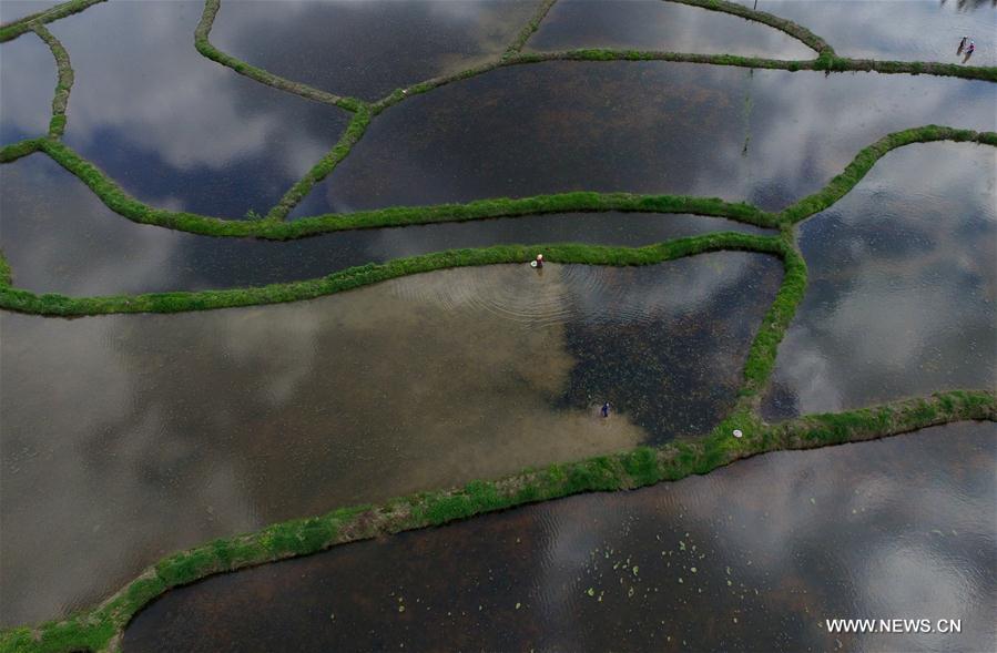 #CHINA-HUBEI-LICHUAN-SCENERY (CN)