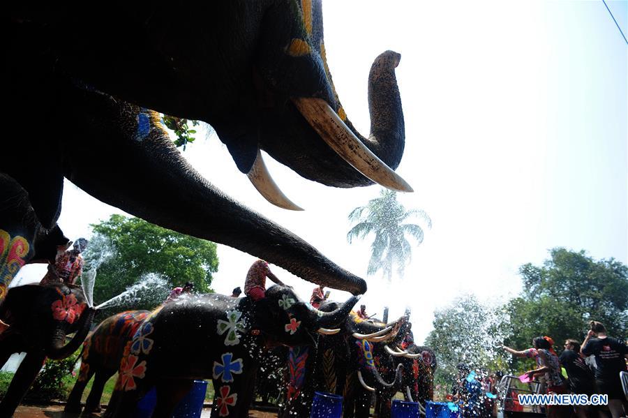 Elephants spray water on tourists during the celebration of the upcoming Songkran festival in Ayutthaya province, Thailand, April 11, 2016.