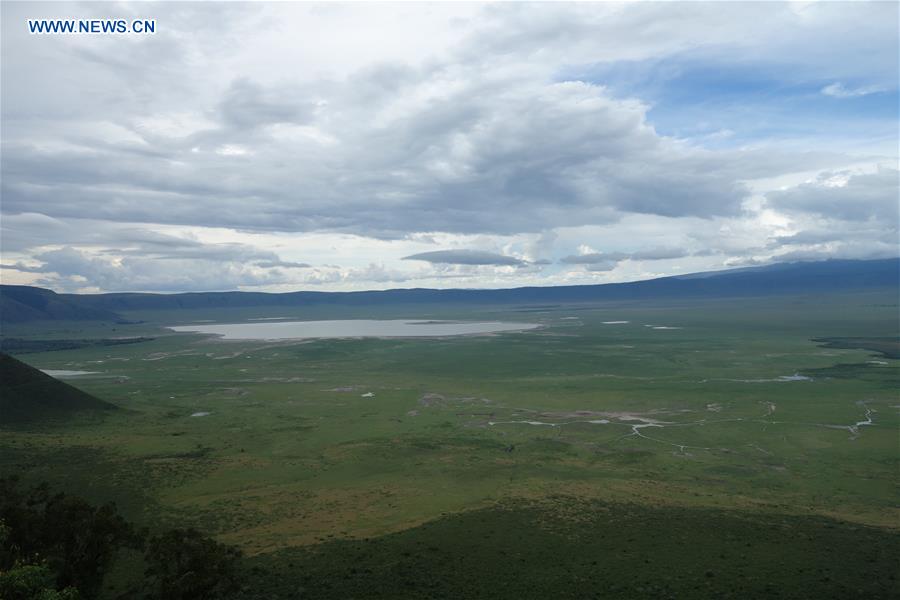 TANZANIA-NGORONGORO CRATER-ANIMAL