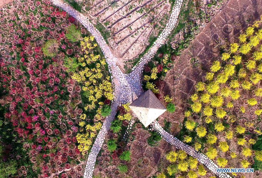CHINA-TIANJIN-SPRING SCENERY (CN)