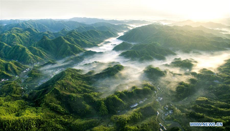 WEEKLY CHOICES OF XINHUA PHOTO