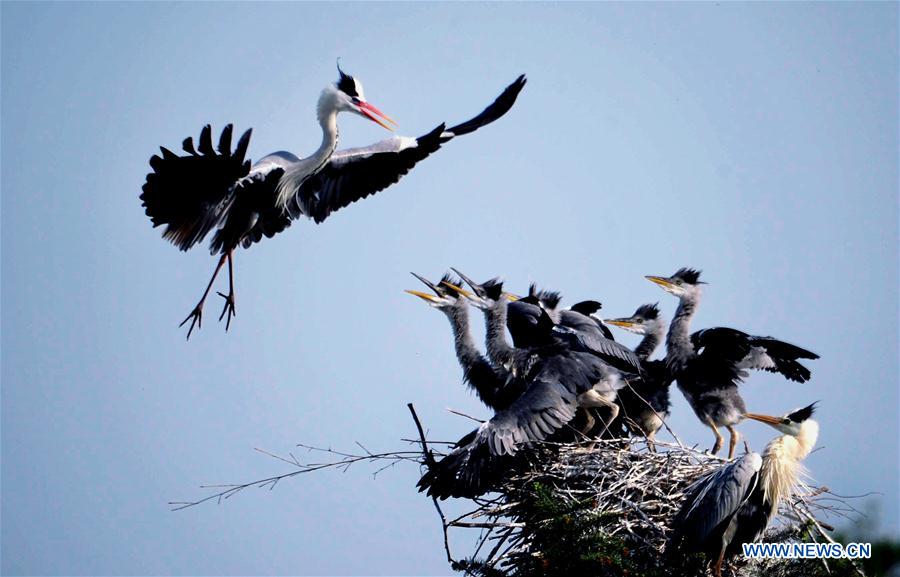 WEEKLY CHOICES OF XINHUA PHOTO