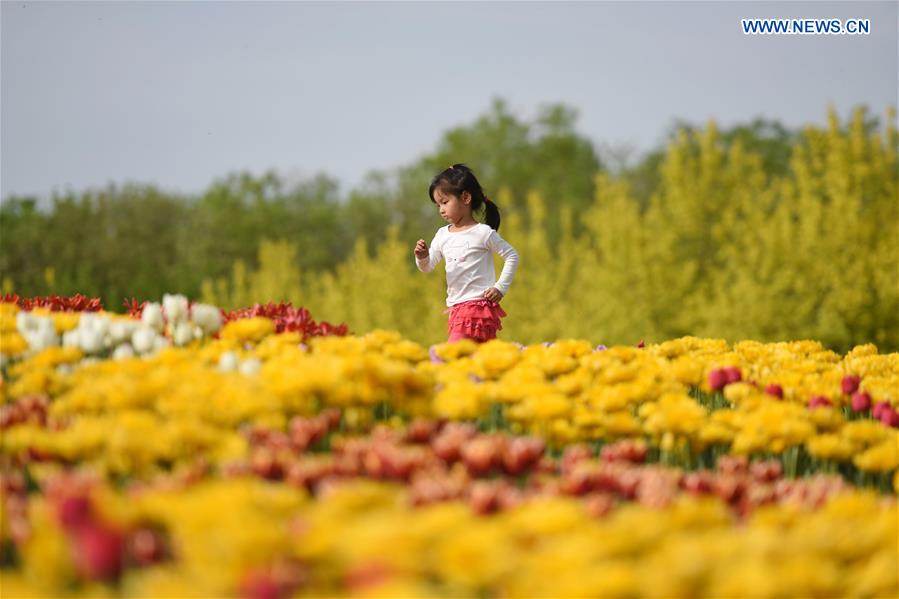 CHINA-BEIJING-SPRING (CN)