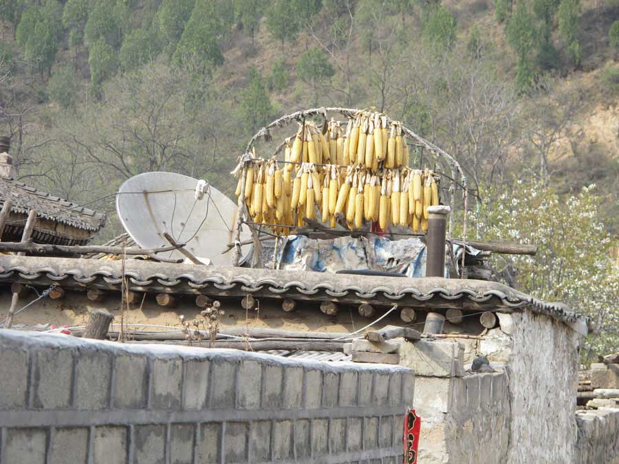 Hebei's poverty-stricken village gets new look after Xi's visit