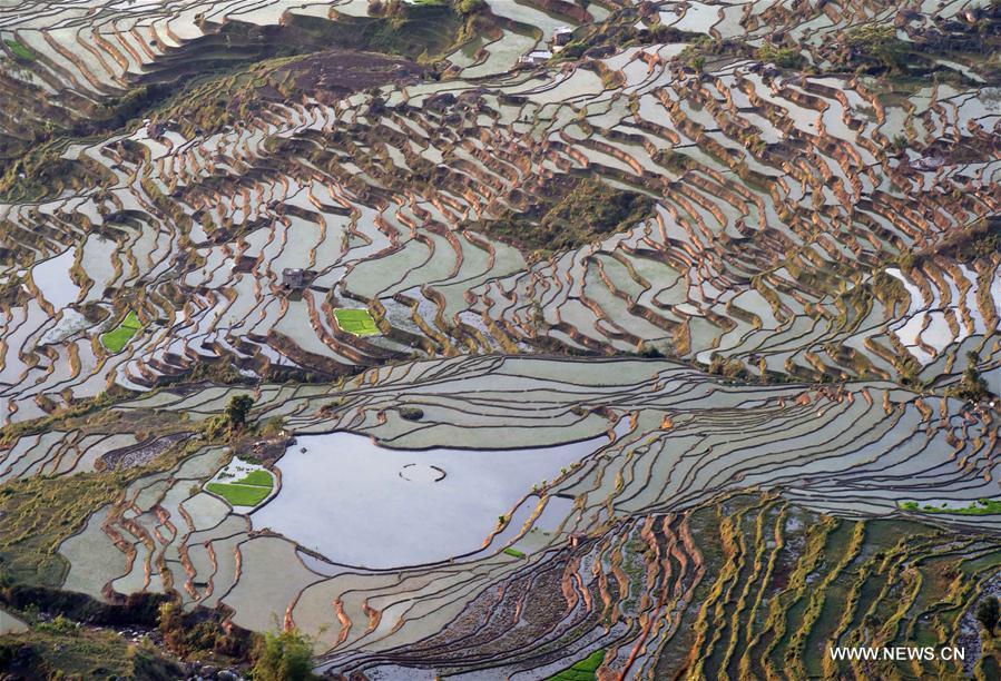 CHINA-YUNNAN-HONGHE-SAMABA TERRACS (CN)