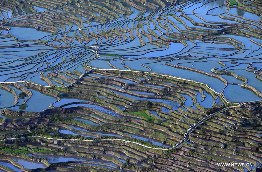 CHINA-YUNNAN-HONGHE-SAMABA TERRACS (CN)