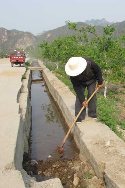 Plantations lift villages out of poverty in Hebei