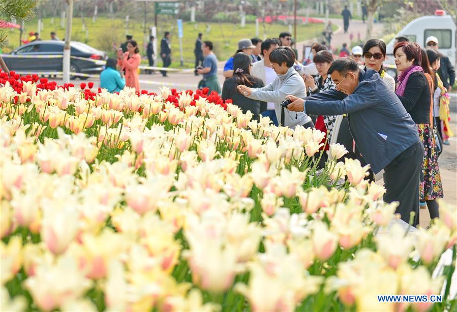 CHINA-HEBEI-TANGSHAN WORLD HORTICULTURAL EXPO-OPEN(CN)