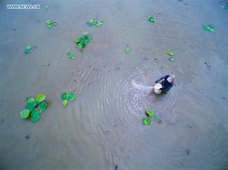 CHINA-FUJIAN-FUZHOU-FARMING (CN)