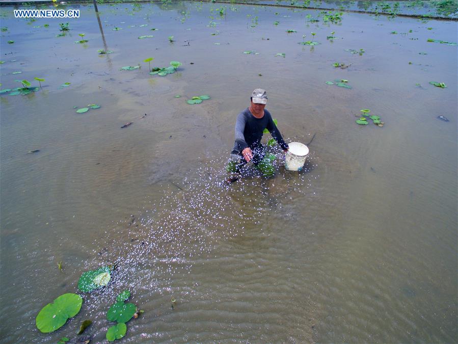 CHINA-FUJIAN-FUZHOU-FARMING (CN)