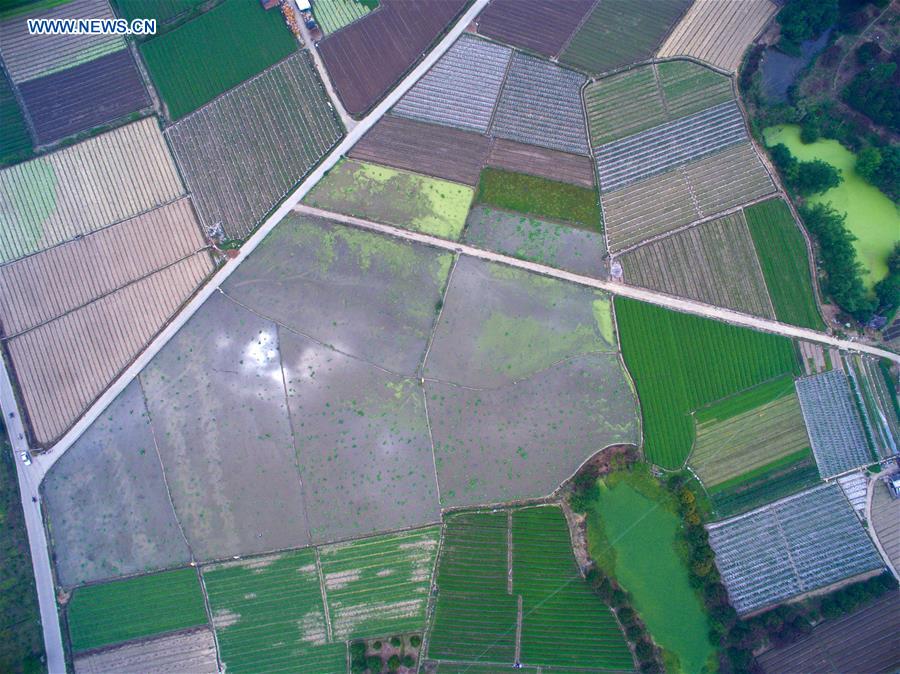 CHINA-FUJIAN-FUZHOU-FARMING (CN)