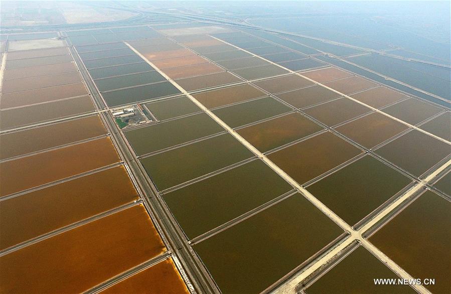 The field is expected to produce some 889,000 tons of salt in 2016.