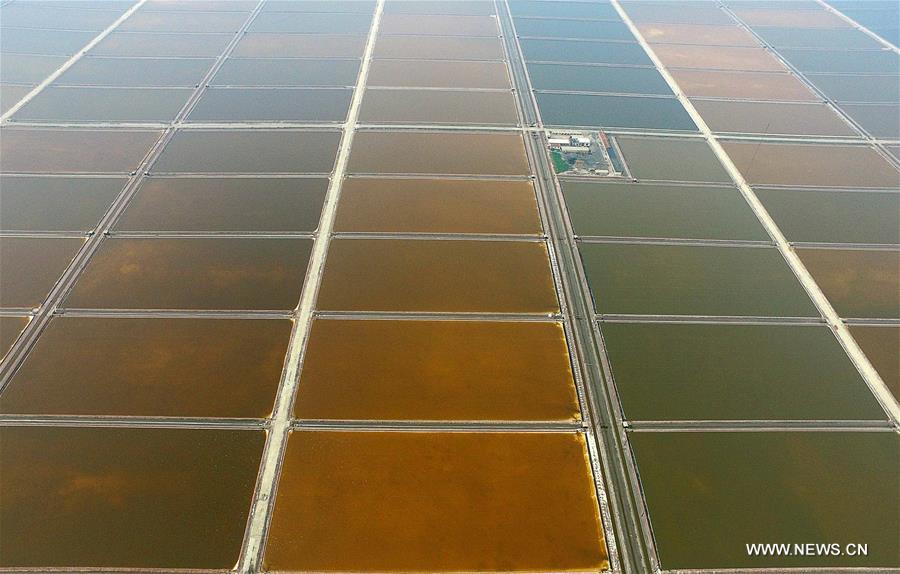 The field is expected to produce some 889,000 tons of salt in 2016.