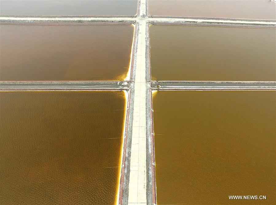 The field is expected to produce some 889,000 tons of salt in 2016.