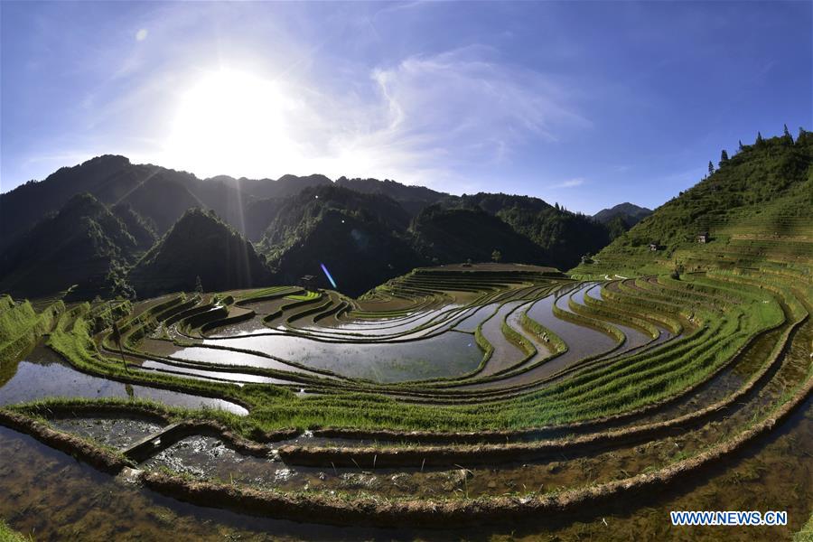 #CHINA-GUIZHOU-CONGJIANG-TERRACES (CN)