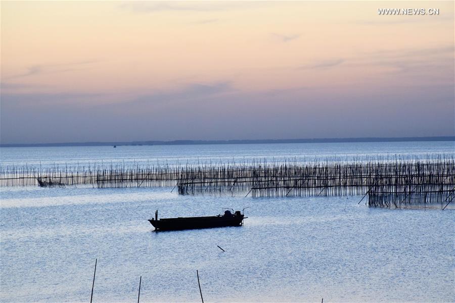 #CHINA-HENAN-ZHUMADIAN-WETLAND (CN) 