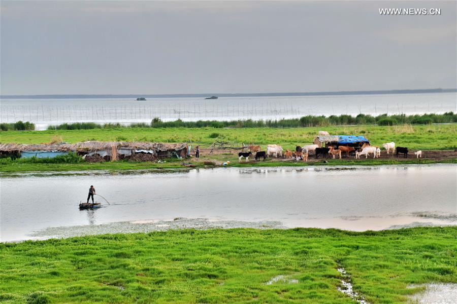 #CHINA-HENAN-ZHUMADIAN-WETLAND (CN) 