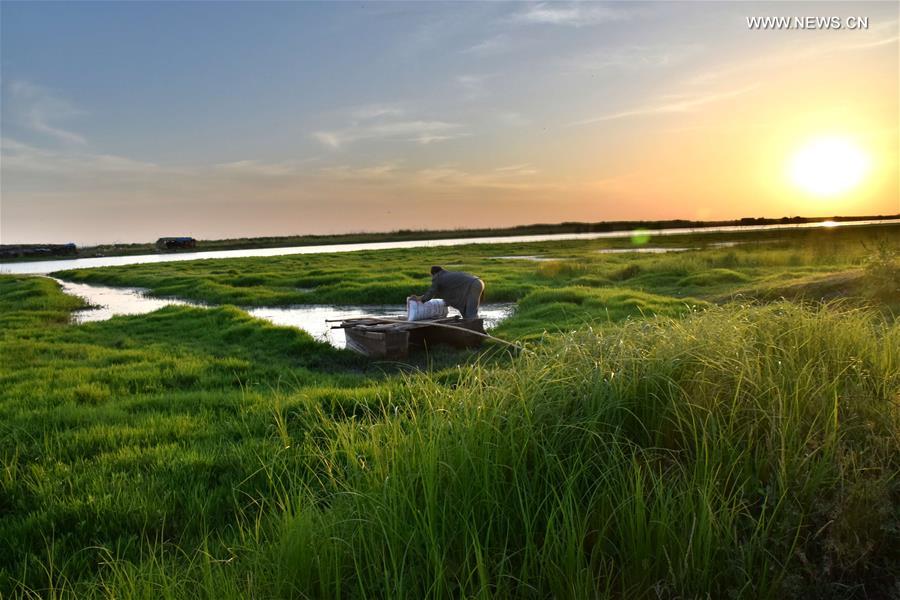 #CHINA-HENAN-ZHUMADIAN-WETLAND (CN) 