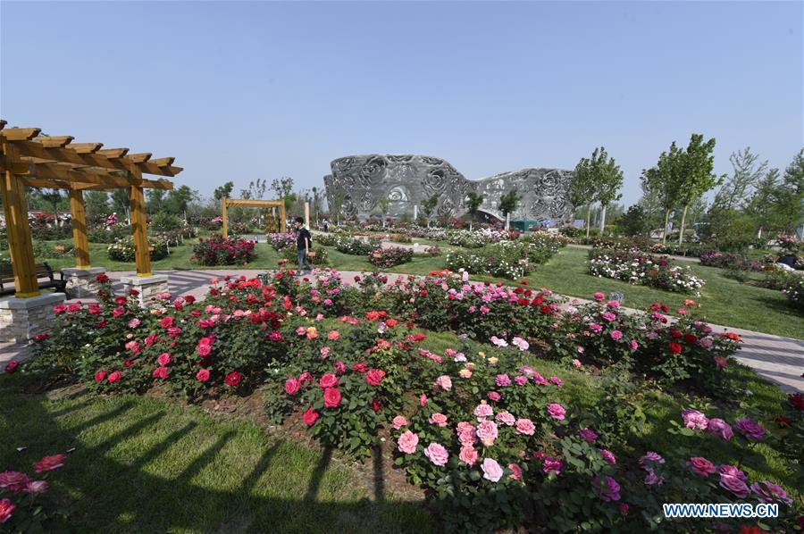CHINA-BEIJING-WFRS REGIONAL CONVENTION(CN)
