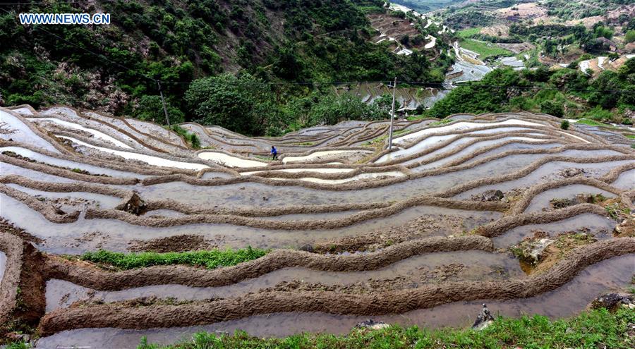 CHINA-JIANGXI-TERRACES (CN)