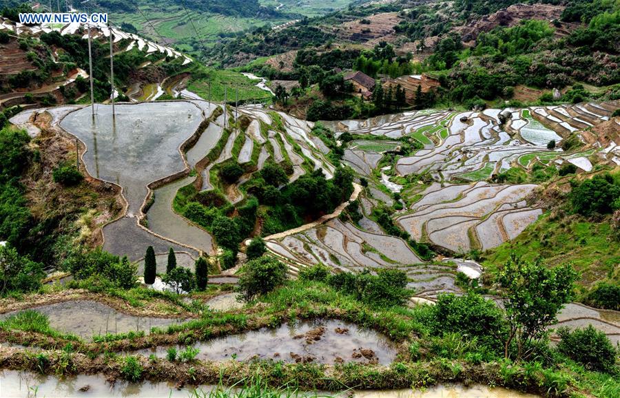 CHINA-JIANGXI-TERRACES (CN)