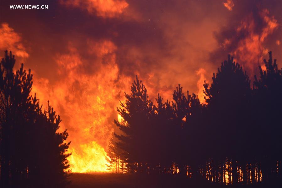 #CHINA-INNER MONGOLIA-FOREST FIRE (CN)