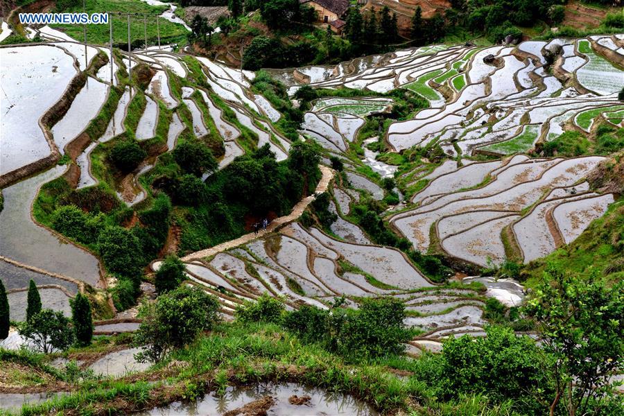 CHINA-JIANGXI-TERRACES (CN)