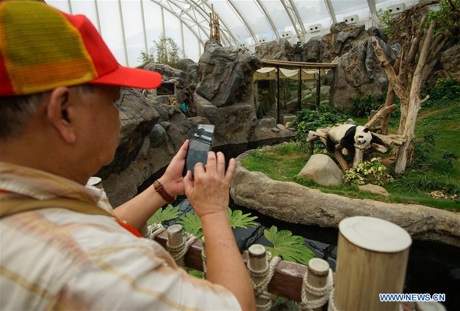 #CHINA-HONG KONG-SICHUAN-PANDA(CN)