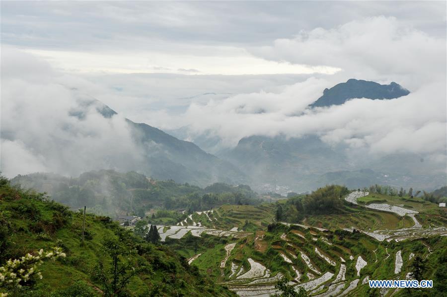 #CHINA-ZHEJIANG-LISHUI-TERRACES(CN)