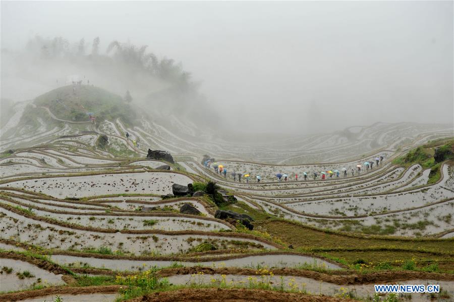 #CHINA-ZHEJIANG-LISHUI-TERRACES(CN)