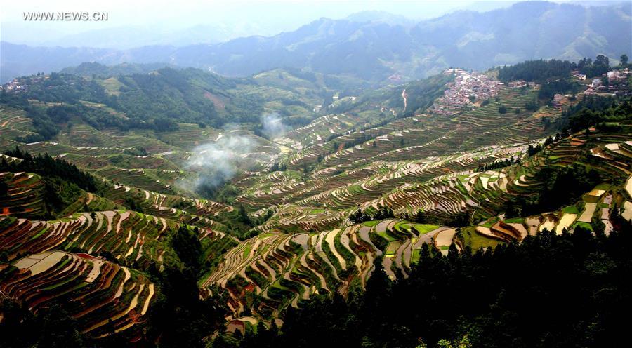 #CHINA-GUANGXI-LIUZHOU-TERRACES(CN)