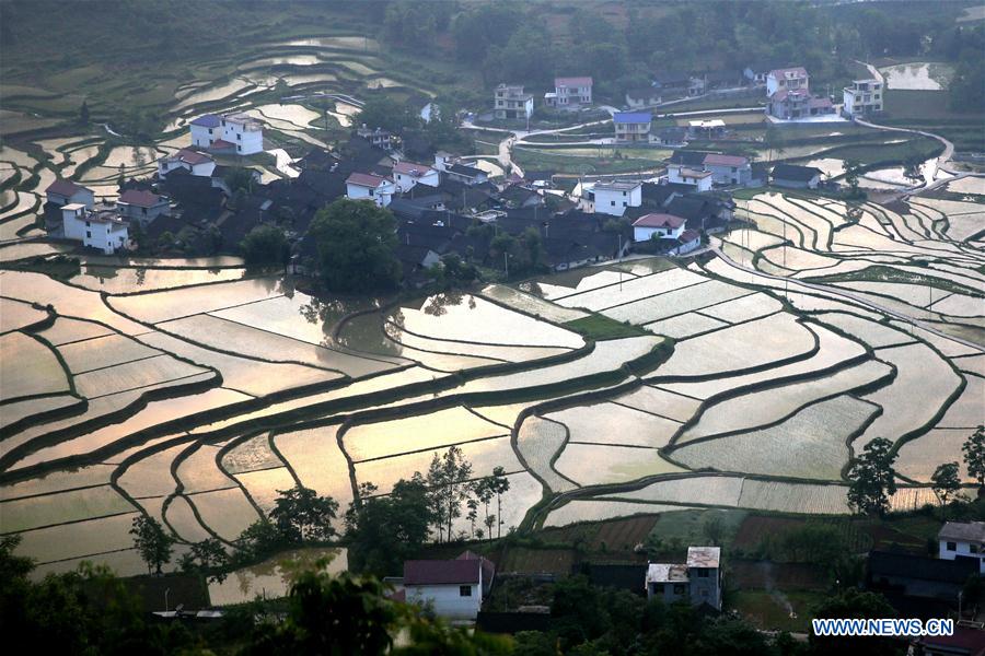 #CHINA-HUNAN-TERRACED FIELDS (CN)