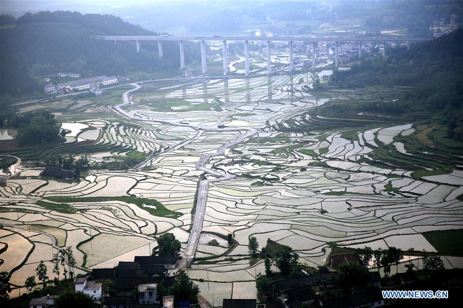 #CHINA-HUNAN-TERRACED FIELDS (CN)