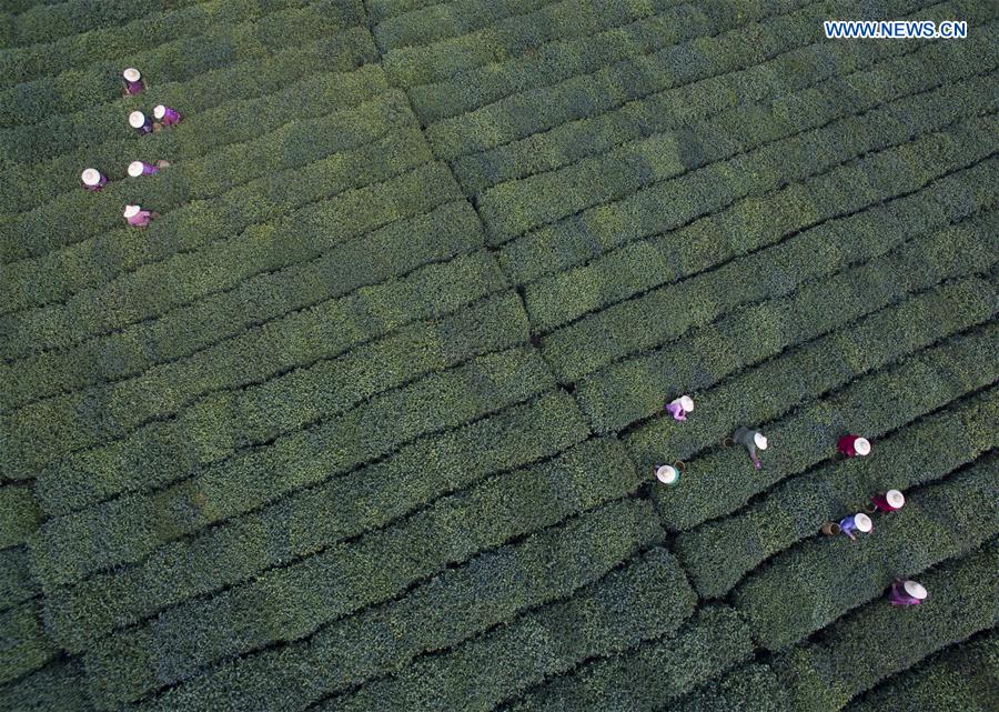 (FOCUS)CHINA-HANGZHOU-G20 SUMMIT(CN)
