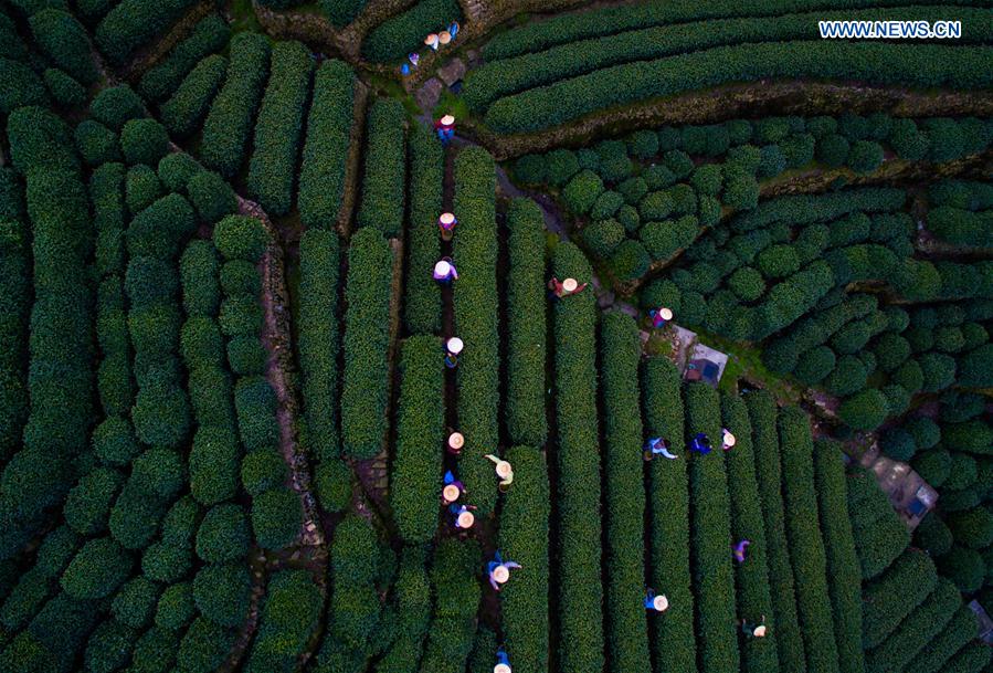 CHINA-HANGZHOU-G20 SUMMIT(CN)