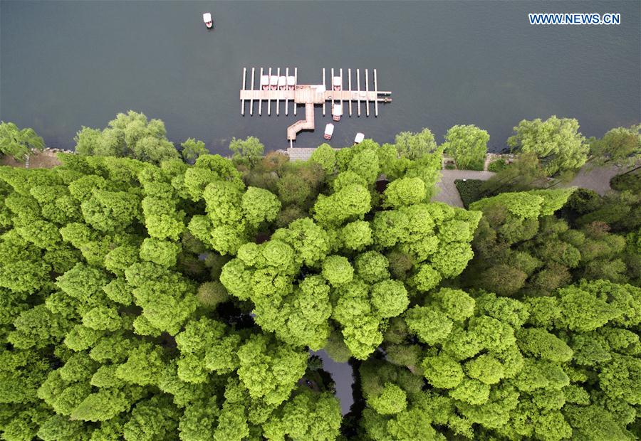 CHINA-HANGZHOU-G20 SUMMIT(CN)