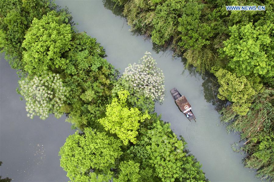 CHINA-HANGZHOU-G20 SUMMIT(CN)