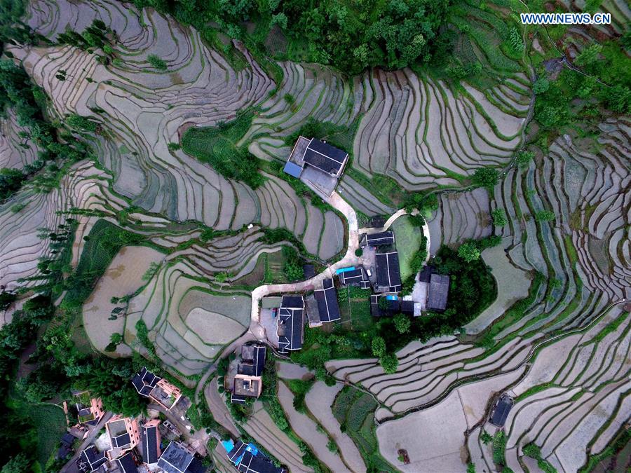 #CHINA-GUIZHOU-YUQING-TERRACED FIELDS (CN)